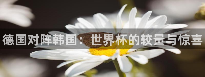 世界杯决赛预测:德国对阵韩国:世界杯的较量与惊喜