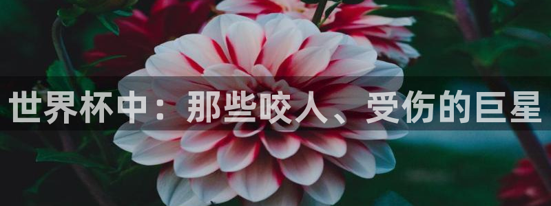 2026年足球世界杯赛程时间表:世界杯中:那些咬人、受伤的巨星