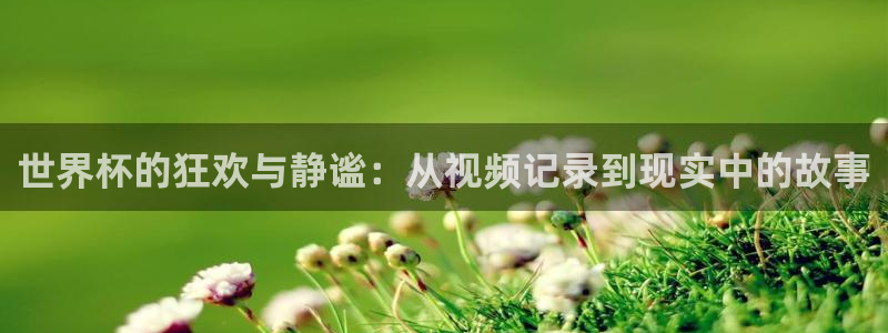 足球世界杯2026年赛程时间表:世界杯的狂欢与静谧:从视频记录到现实中的故事