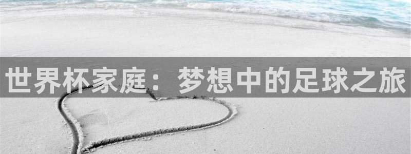 世界杯决赛直播:世界杯家庭:梦想中的足球之旅