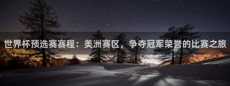 2026世预赛全部赛程:世界杯预选赛赛程:美洲赛区,争夺冠军荣誉的比赛之旅
