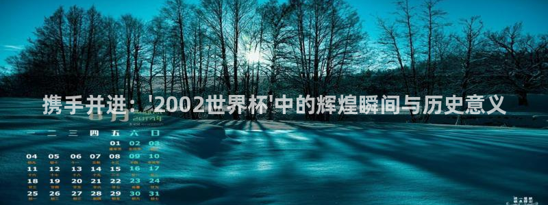 2026男足世界杯赛程:携手并进:\'2002世界杯\'中的辉煌瞬间与历史意义