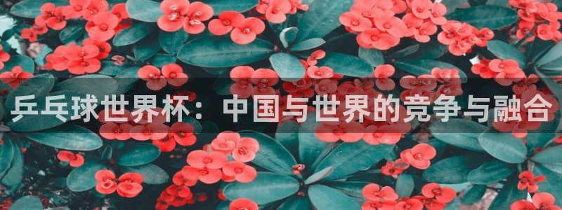 世界杯转播表:乒乓球世界杯:中国与世界的竞争与融合