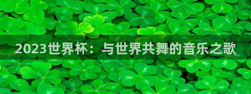 世界杯足球2026:2023世界杯:与世界共舞的音乐之歌