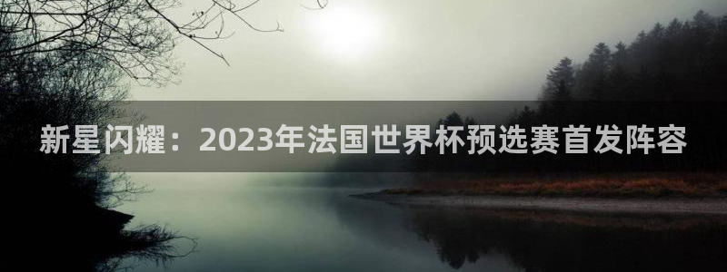 世界杯预选赛欧洲区赛程:新星闪耀:2023年法国世界杯预选赛首发阵容