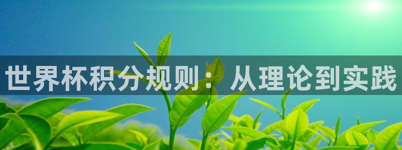 世界杯预选赛2026:世界杯积分规则:从理论到实践
