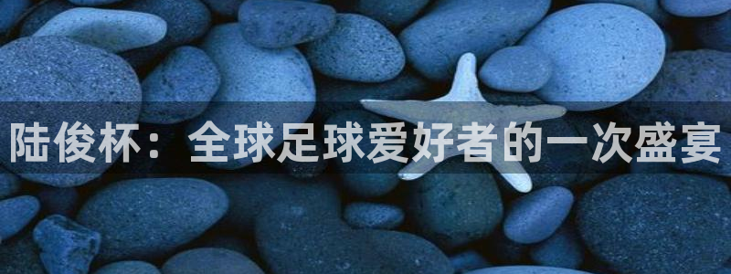 世界直播:陆俊杯:全球足球爱好者的一次盛宴
