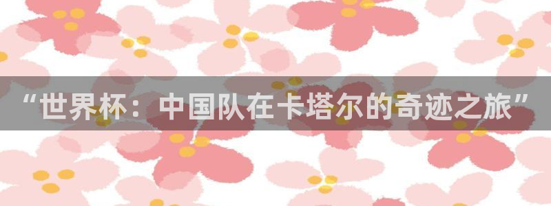 世界杯视频:“世界杯:中国队在卡塔尔的奇迹之旅”