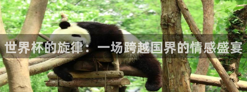 2026年世界杯对阵图:世界杯的旋律:一场跨越国界的情感盛宴