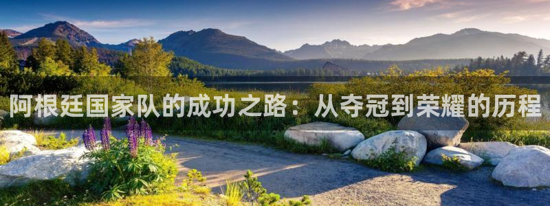 世界杯预选赛赛程表:阿根廷国家队的成功之路:从夺冠到荣耀的历程