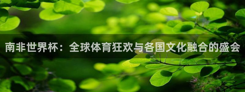中国 世界杯:南非世界杯:全球体育狂欢与各国文化融合的盛会