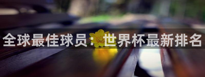 足球比分直播世界杯:全球最佳球员:世界杯最新排名
